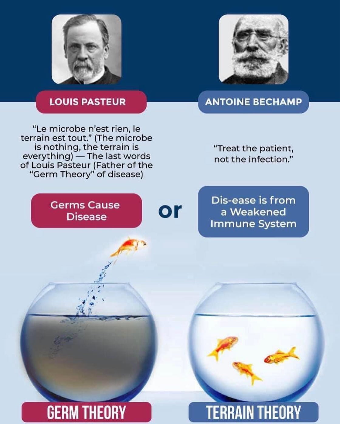 Germ Theory vs Terrain Theory: Perdebatan Asas dalam Dunia Perubatan