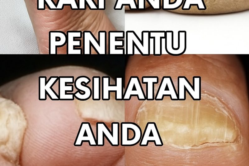 Kaki Anda: Cermin Kesihatan Dalaman