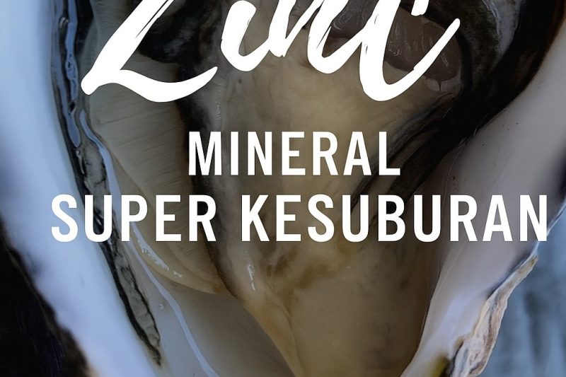 Zink Mineral Super Kesuburan: Membongkar Peranan Hero Senyap dalam Perjalanan Mendapatkan Zuriat