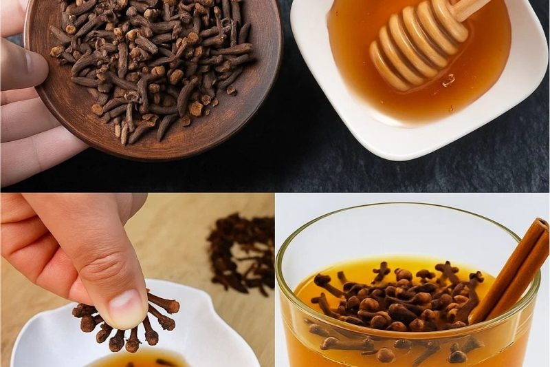 Teh Cengkih, Madu & Kayu Manis: Resipi Tradisi, Khasiat Moden Terbukti Secara Saintifik