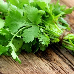 jus daun ketumbar