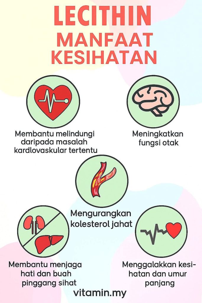 kesihatan lecithin