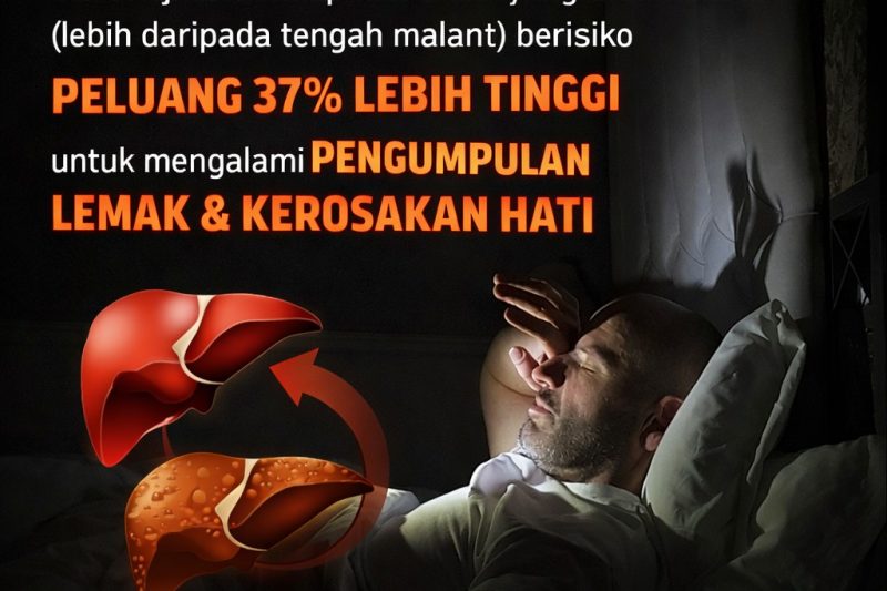 Tidur Lambat Hati Rosak: Membongkar Mitos dan Fakta Saintifik