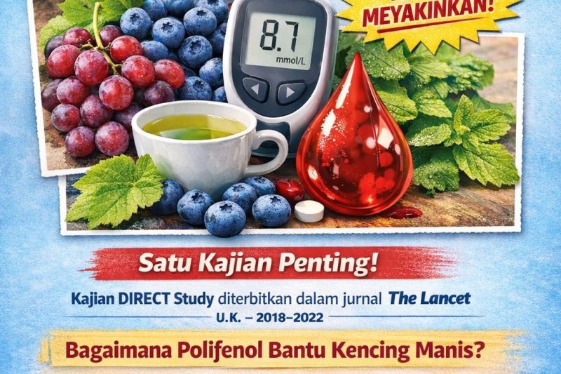 Polifenol Boleh Reverse Kencing Manis ?