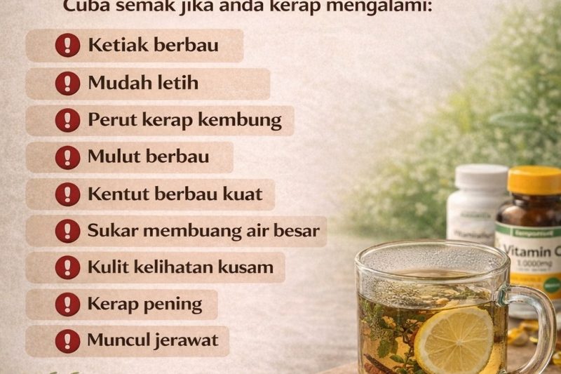 USUS TAK SIHAT, BADAN PUN TERJEJAS! – Panduan Lengkap Memahami Kesihatan Usus Anda