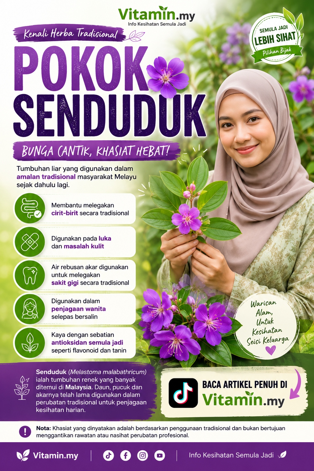 pokok senduduk