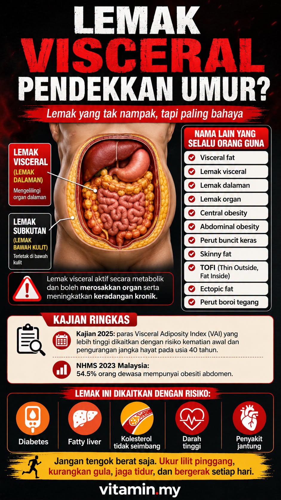 lemak visceral pendekkan umur