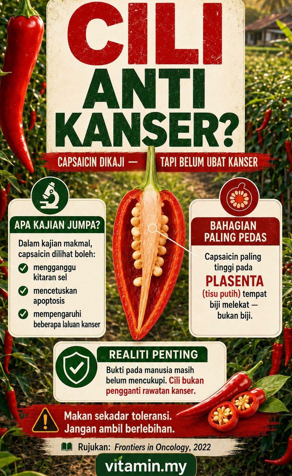 cili anti kanser