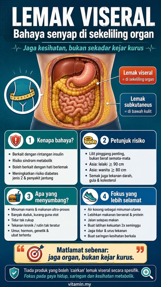 lemak viseral