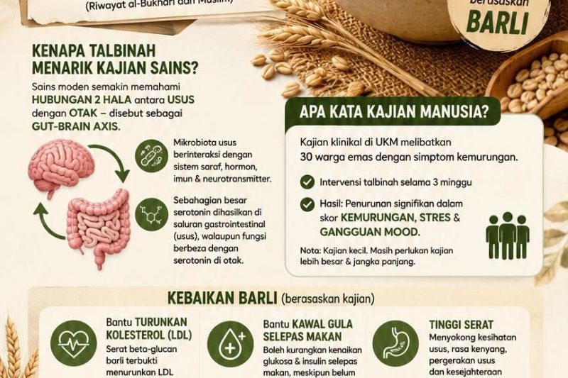 Talbinah untuk Kesedihan: Apa yang Nabi SAW Ajarkan dan Apa Kata Sains Tentang Barli, Usus dan Otak?